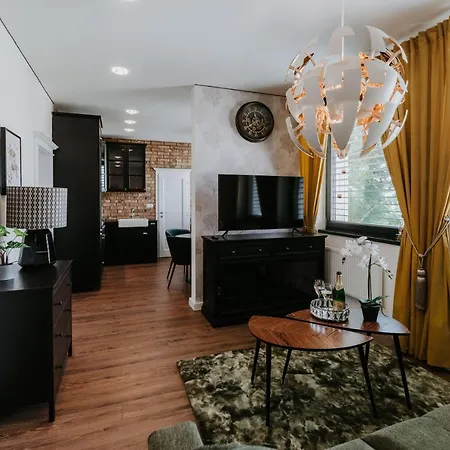 公寓 Evia Clinic 莱维采